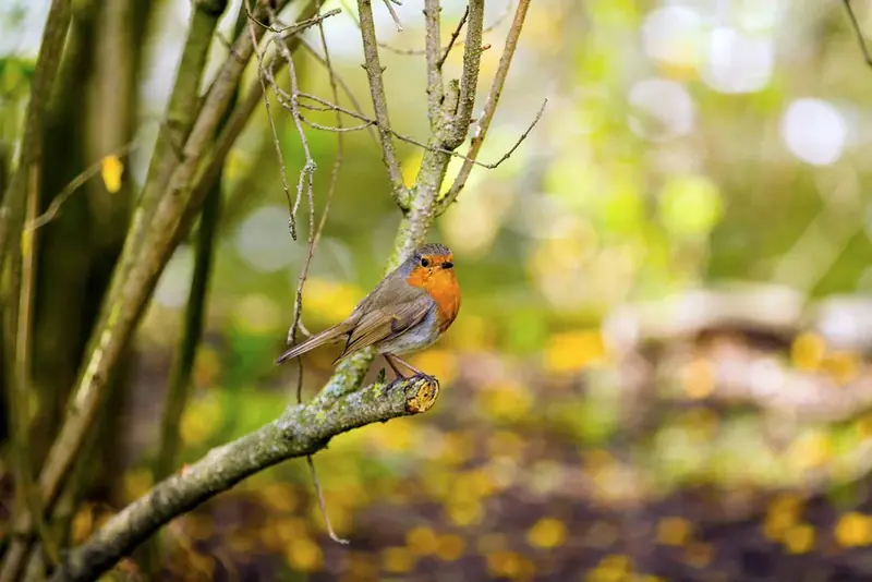 Photograph by Darina Photography, Barnet, North London