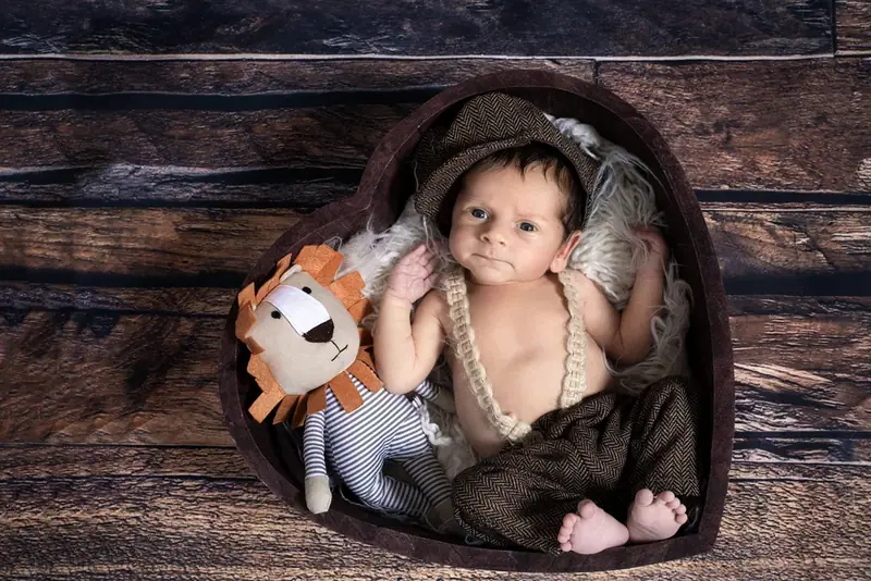 Newborn in a brown outfit sitting in a heart-shaped wooden bowl with a toy lion