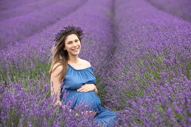 Expectant mother in a blue dress sitting among rows of lavender