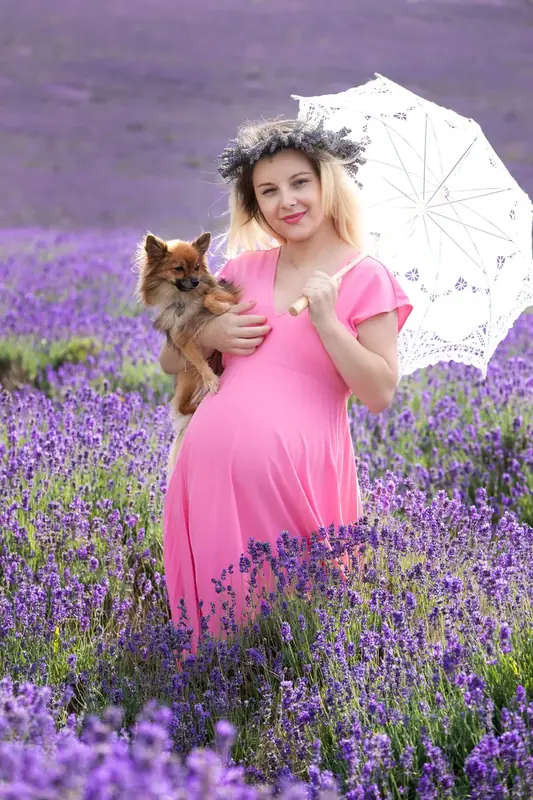 Expectant mother in pink with a parasol and a small dog in a lavender field